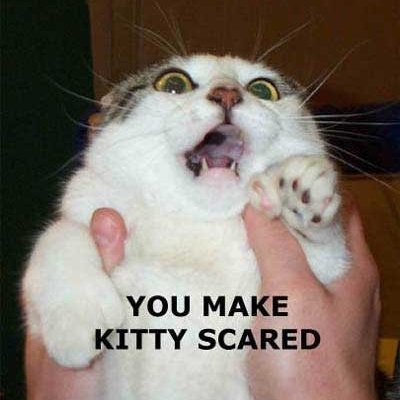 Why so many physics problems?