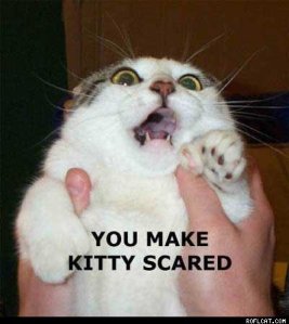 Why so many physics problems?